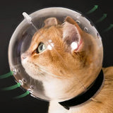 Breathable Cat Muzzle Mask (Sturdy Grooming Head Cover)