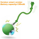 Automatic Rolling Dog Ball Toy (Rechargeable Interactive)