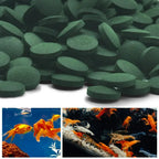 High-Purity Spirulina Tablets for Fish & Shrimp (50–1000pcs, Seaweed Enriched)