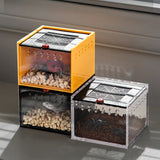 Acrylic Insect Feeding Box — Ventilated Habitat for Spiders & Small Bugs