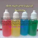 Ant Colony Liquid Food & Feeding Tubes — Anti-Escape Nutrition Kit