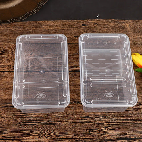 Transparent Vivarium Lid — Ventilated Cover for Reptile Breeding Boxes