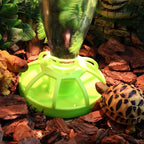Lotus Leaf Auto-Refill Reptile Water Dispenser