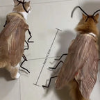 Cat Cockroach Costume Kit — Funny DIY Cosplay Dress-Up Accessory