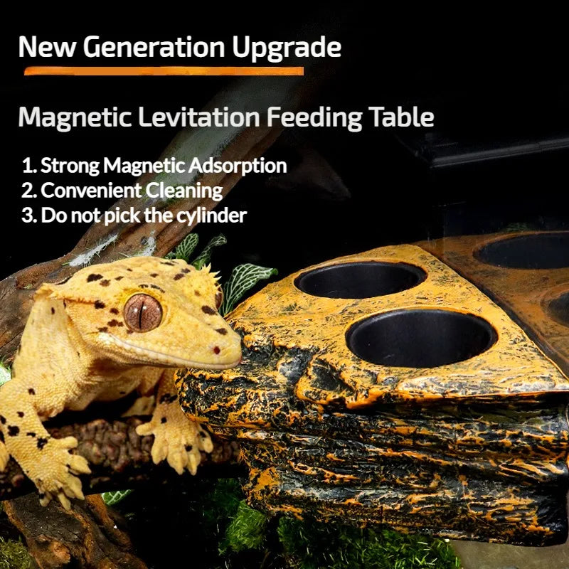 Magnetic Reptile Feeding Dish — Wall-Mount Food & Water Bowl for Geckos & Lizards