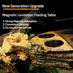 Magnetic Reptile Feeding Dish — Wall-Mount Food & Water Bowl for Geckos & Lizards