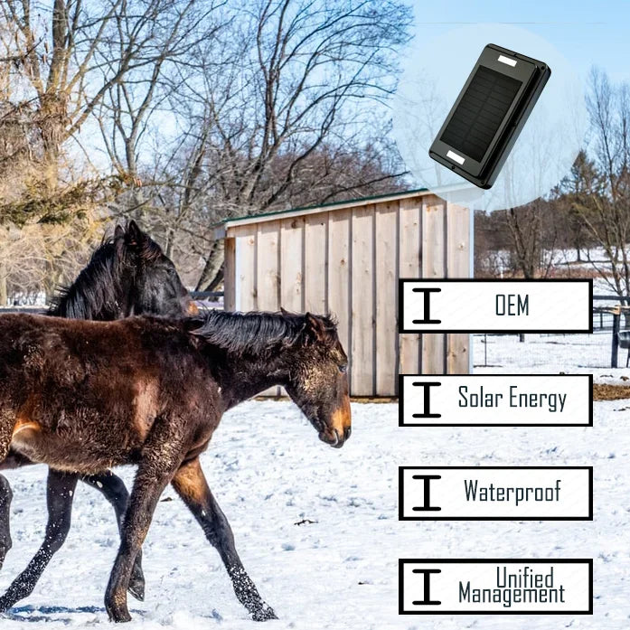 20,000mAh Solar GPS Tracker for Cattle, Horses & Large Animals - 2G IP67 Waterproof