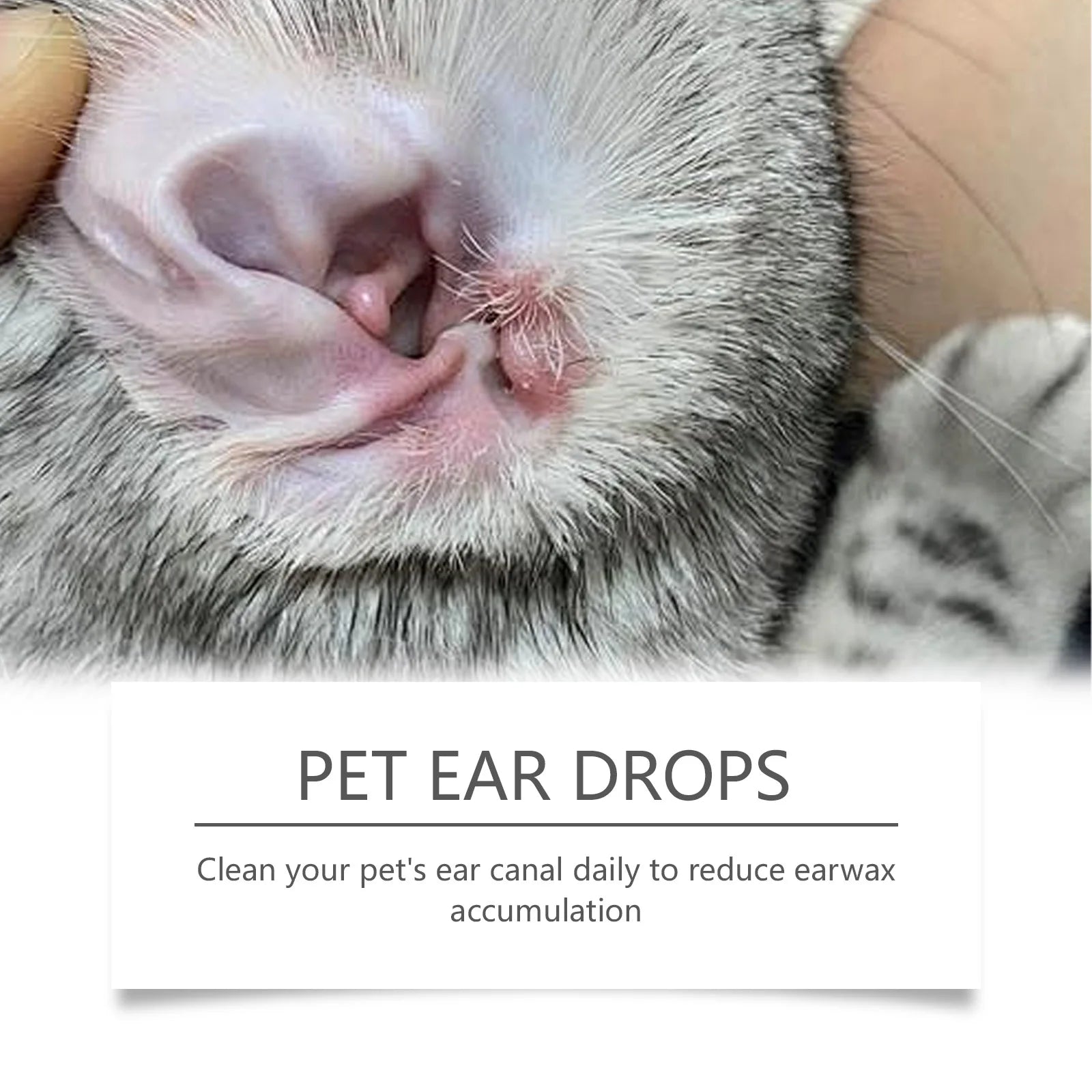 Pet Ear Cleaner Drops — Removes Mites, Wax & Odor, 60ml