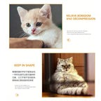 Suction Cup Fur Ball Spring Toy — Hands-Free Bouncing Cat Toy