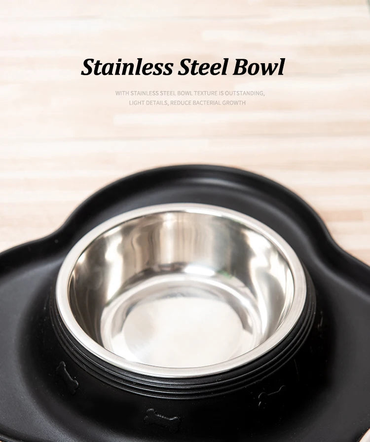 Stainless Steel Double Pet Bowl Set