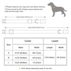 Personalized Dog Collar & Leash Set