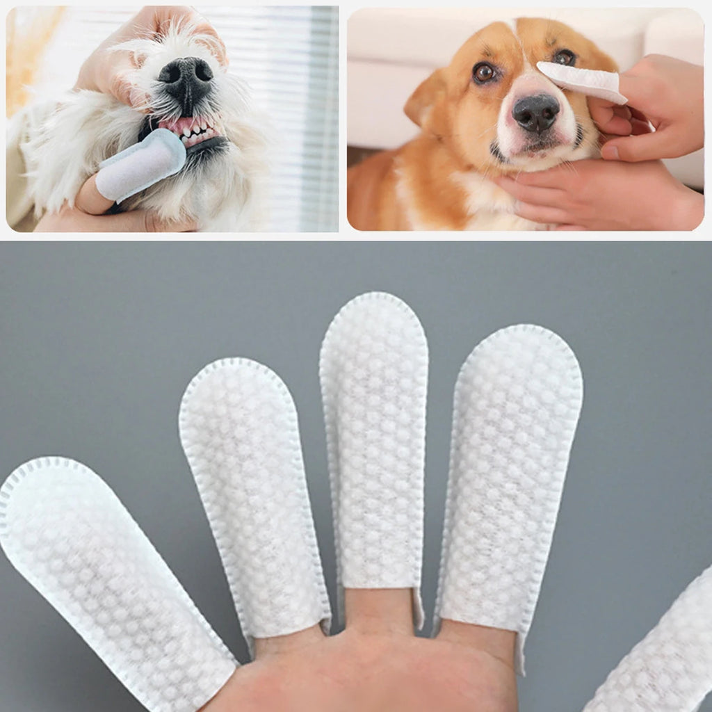 Disposable Pet Finger Cot Wipes — 50-Pack for Teeth, Ears & Eyes