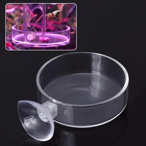 Acrylic Aquarium Shrimp Feeding Bowl & Fish Feeder Dish