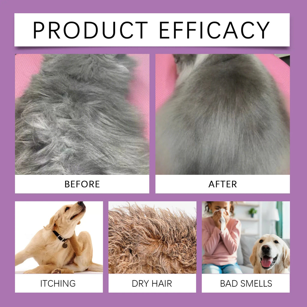 YEGBONG Lavender Pet Shampoo — Gentle Vet-Recommended Formula, 100ml