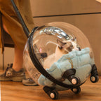 Transparent Breathable Cat Trolley Travel Case & Carrier Bag with Cat Nest for Outdoor Use