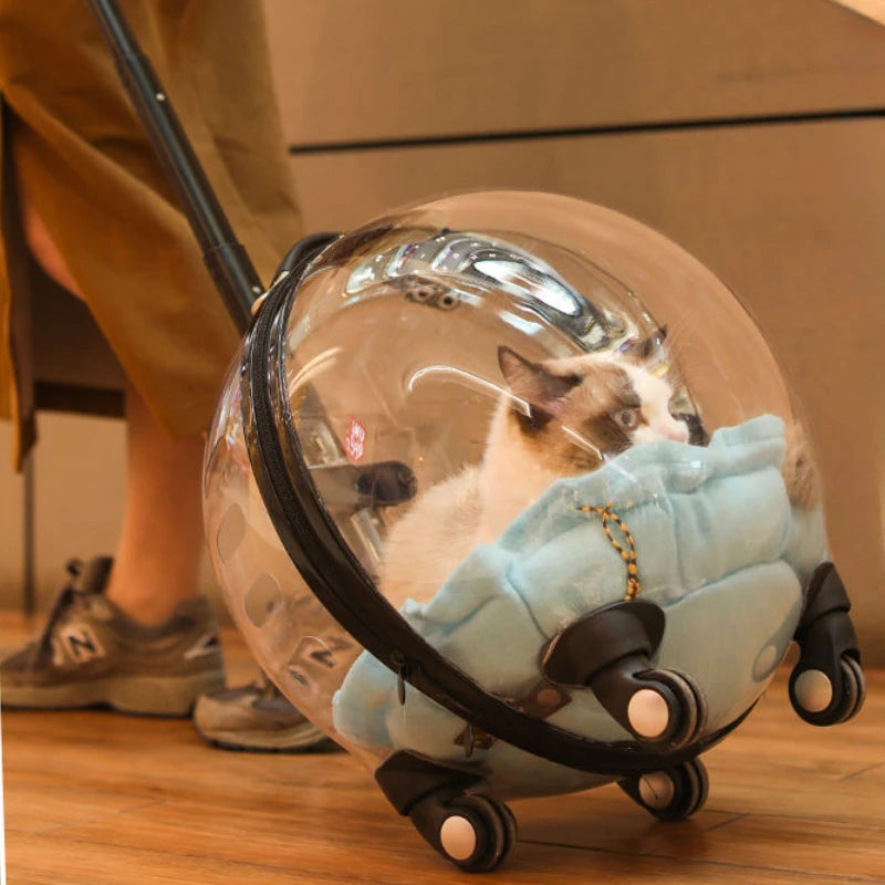 Transparent Breathable Cat Trolley Travel Case & Carrier Bag with Cat Nest for Outdoor Use