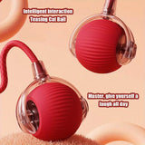 Smart Rolling Ball Toy with Faux Tail