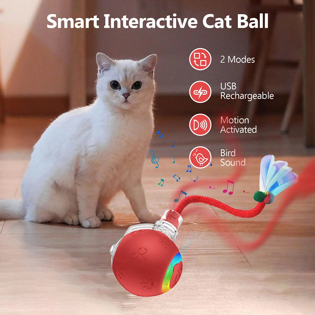 Motion-Activated Self-Rotating Cat Ball — Fast-Rolling Interactive Exerciser