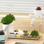 Compact Transparent Turtle Tank — Basking Habitat with Climbing Spot