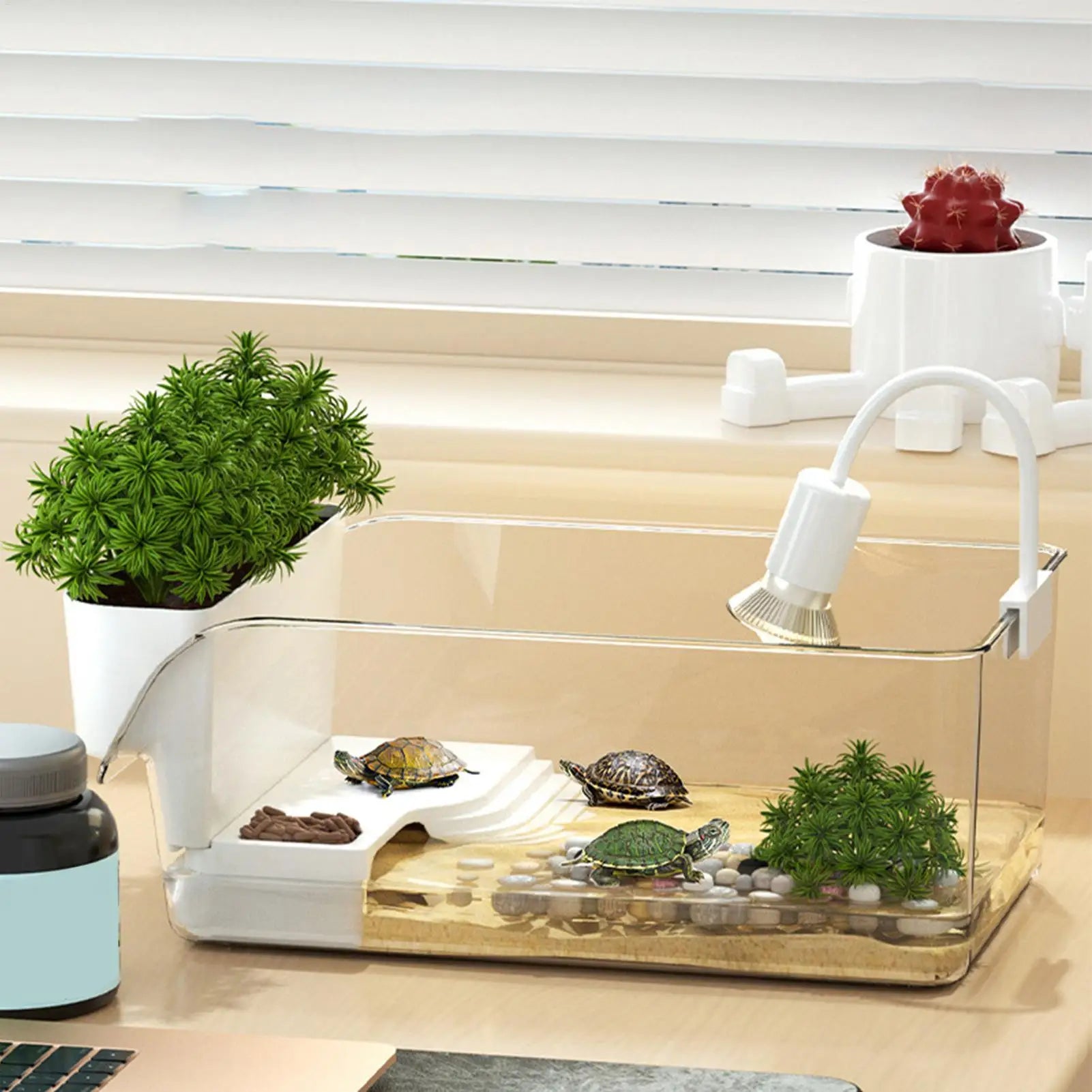 Compact Transparent Turtle Tank — Basking Habitat with Climbing Spot