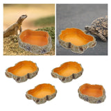 Decorative Resin Rock Water Bowl — Natural-Look Reptile Feeder