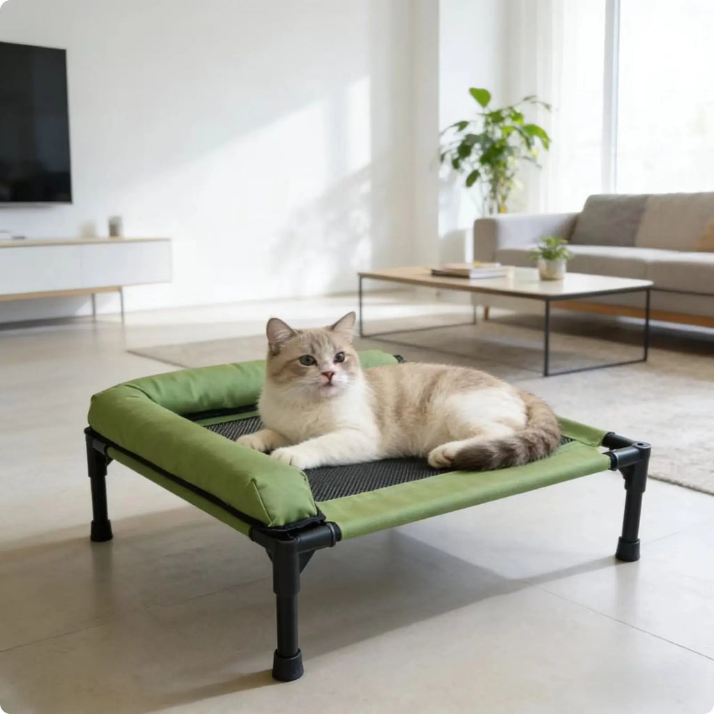 Raised Cooling Pet Cot for Small Dogs, Washable