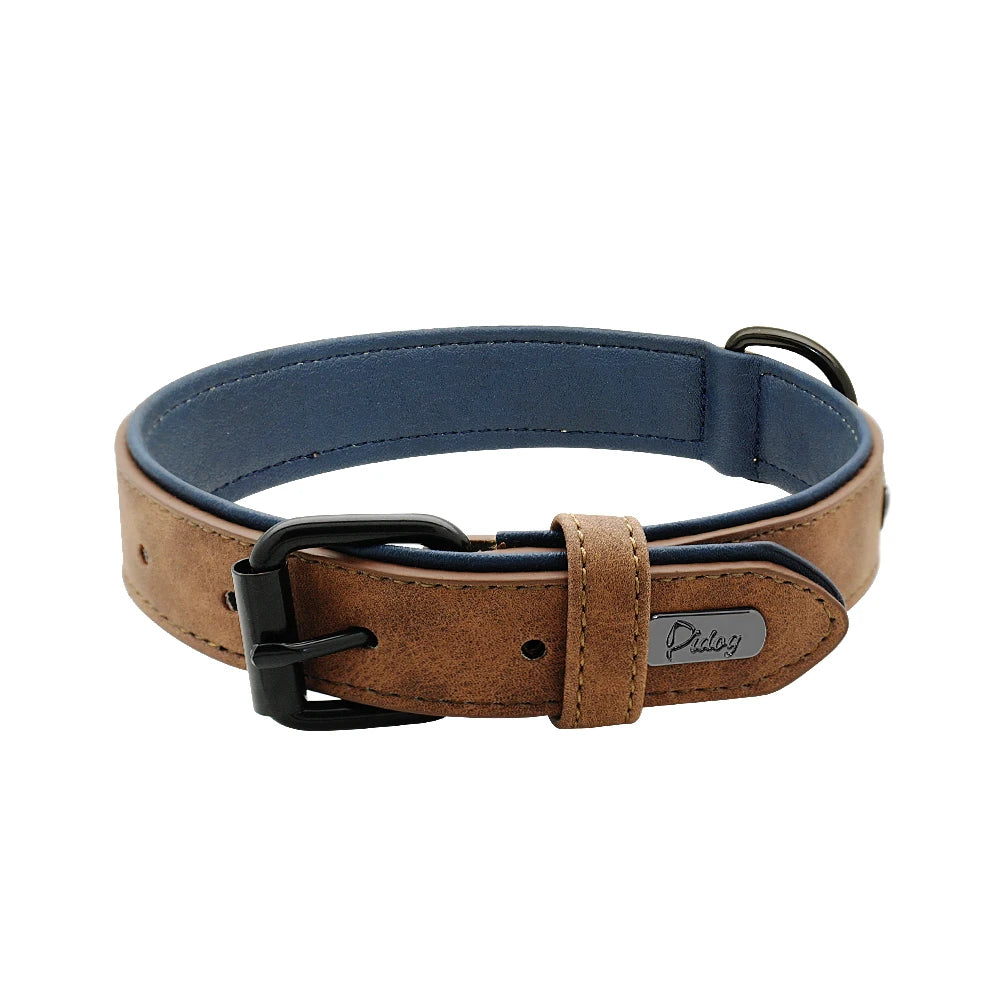 Padded Leather Dog Collar