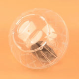 Hamster Exercise Ball — Translucent Running Ball for Rats & Hamsters