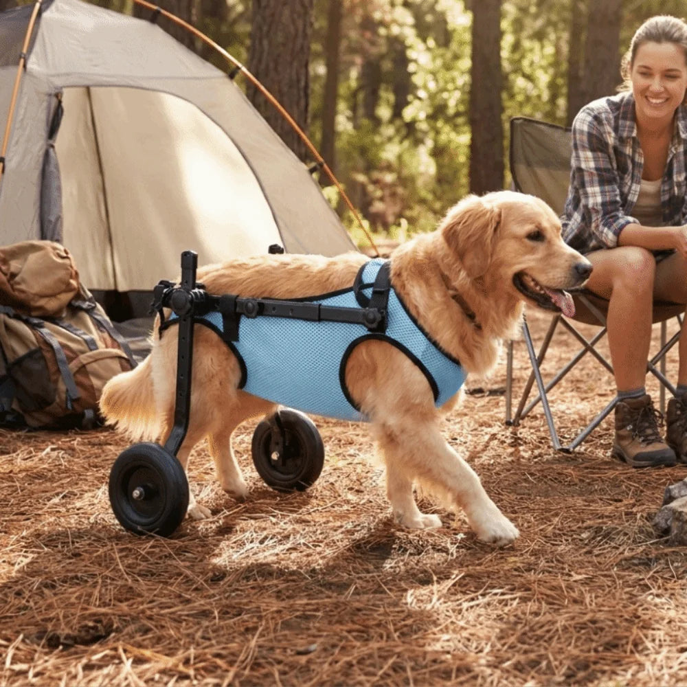 Adjustable Dog Wheelchair (Hind Leg Support, Breathable, Rehab)