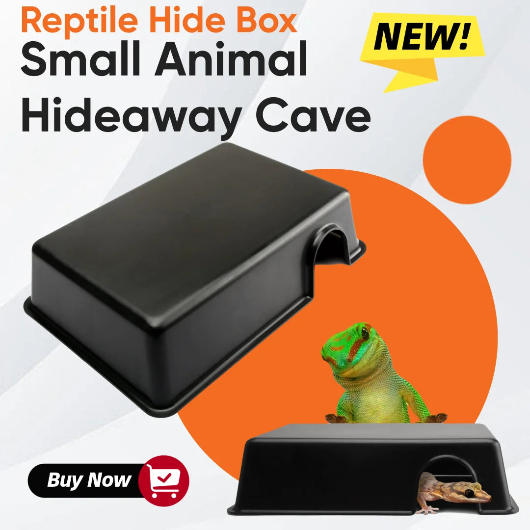 Ventilated Reptile Hide Box — Rectangular Shelter for Geckos, Snakes & Spiders
