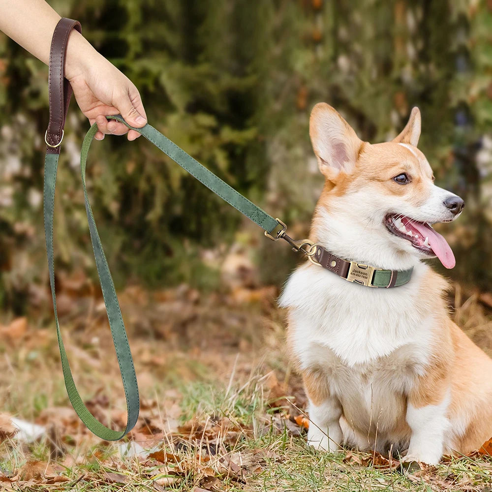Personalized Dog Collar & Leash Set