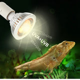 LED UVA/UVB Reptile Basking Lamp — 10.0/20.0 UV Bulb, E27, With Optional Stand