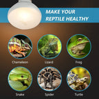 2-Pack UVA/UVB Reptile Heat Lamp — Sun-Like Basking Bulb, 75W