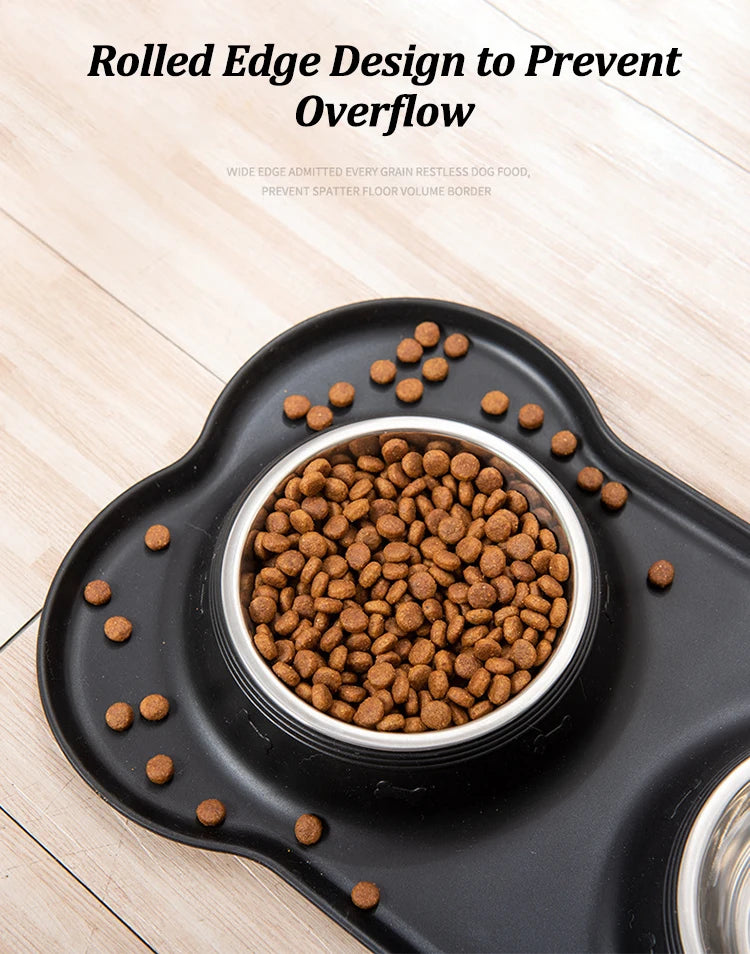 Stainless Steel Double Pet Bowl Set