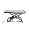 Veterinary Pet Stretcher & Multipurpose Examination Table