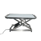 Veterinary Pet Stretcher & Multipurpose Examination Table