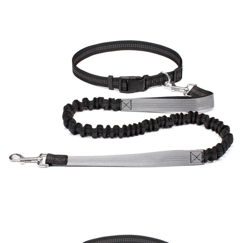 Hands-Free Running Dog Leash with Waist Belt