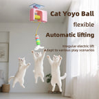 Automatic Flying Bird Door Teaser Toy