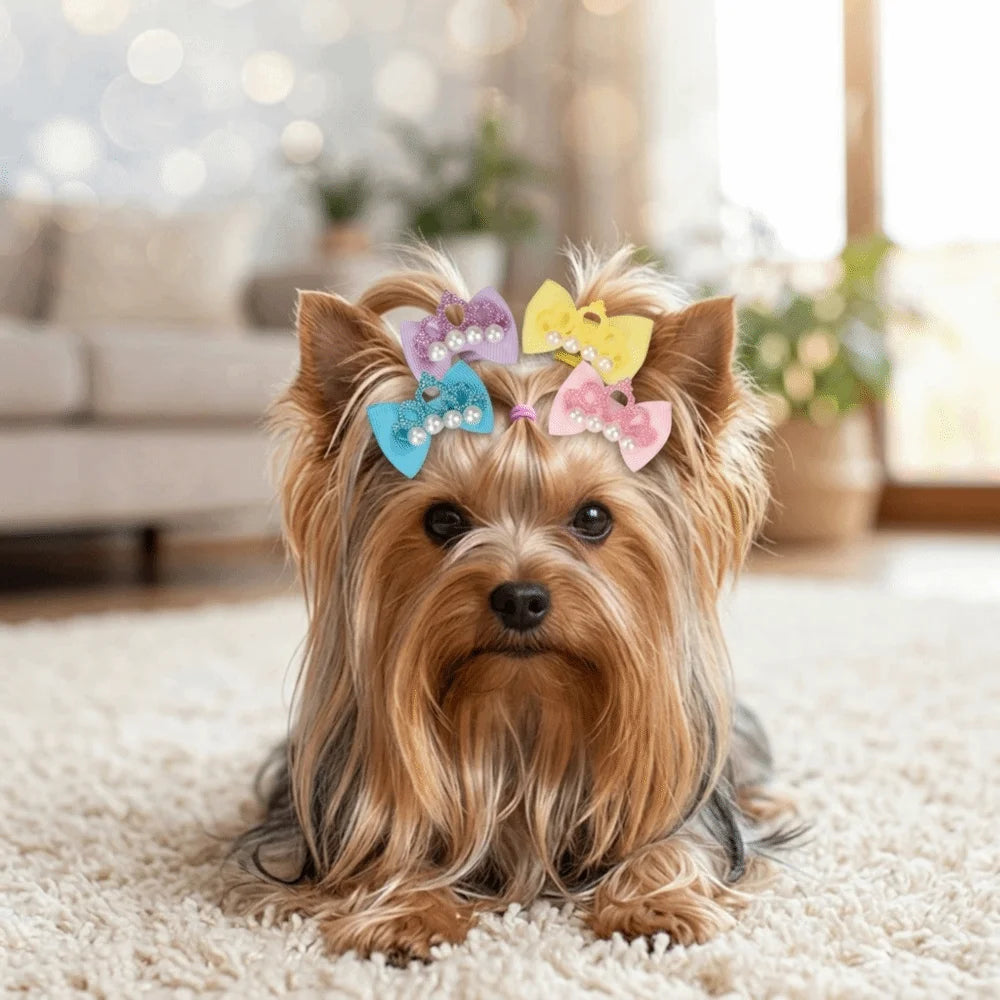 Bow & Crown Pet Hair Ties 20-Pack (Elastic Band, Cartoon, Soft Texture)