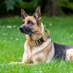 Tactical Dog Collar & Leash Set