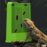 Suction Cup Corner Feeder — Wall-Mounted Feeding Dish for Reptiles