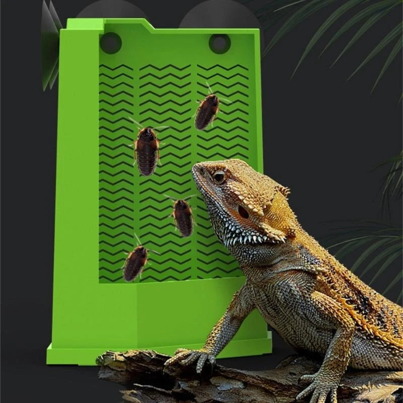 Suction Cup Corner Feeder — Wall-Mounted Feeding Dish for Reptiles