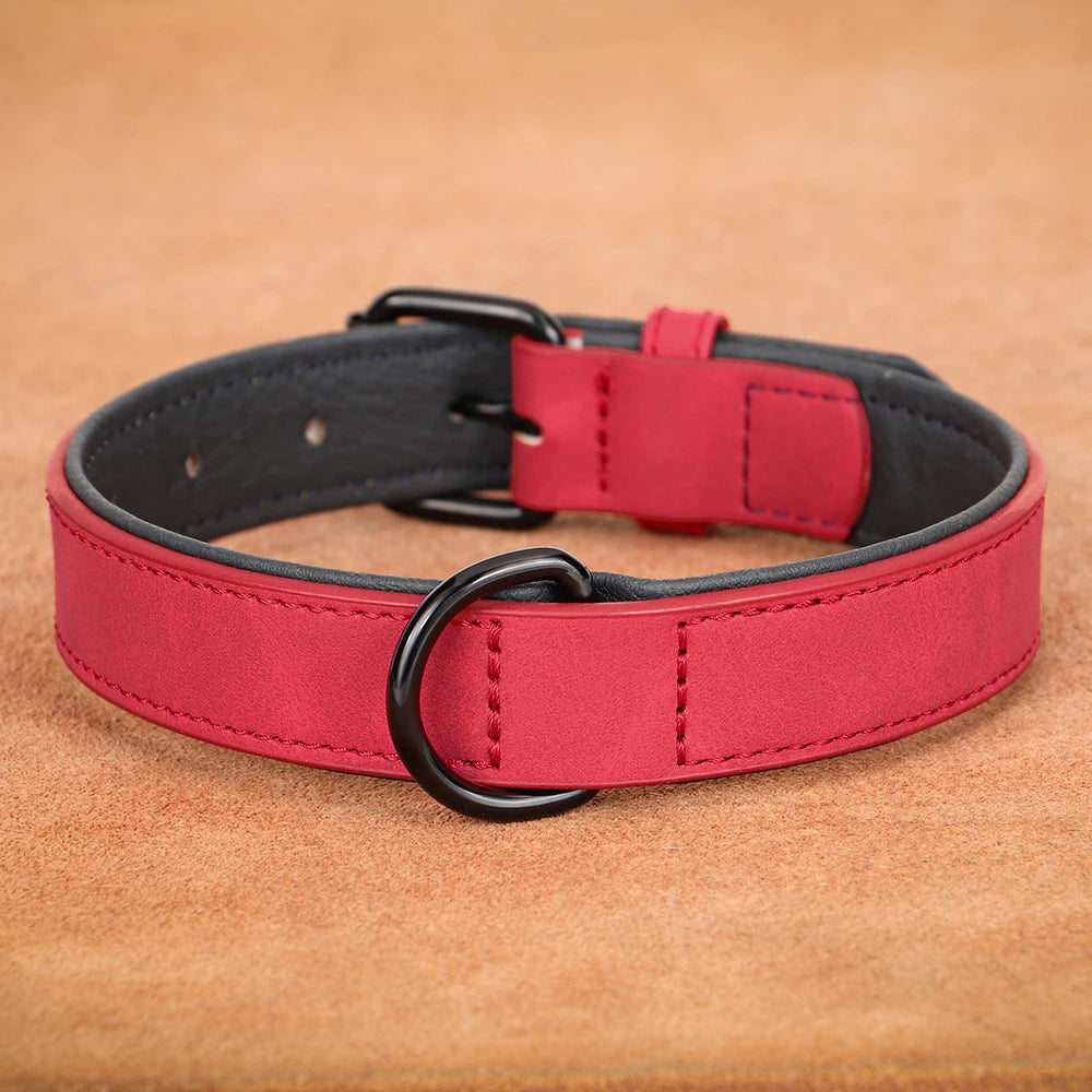 Padded Leather Dog Collar