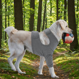 Breathable Dog Leg Sleeve (Anti-Lick, High Elasticity, Long)