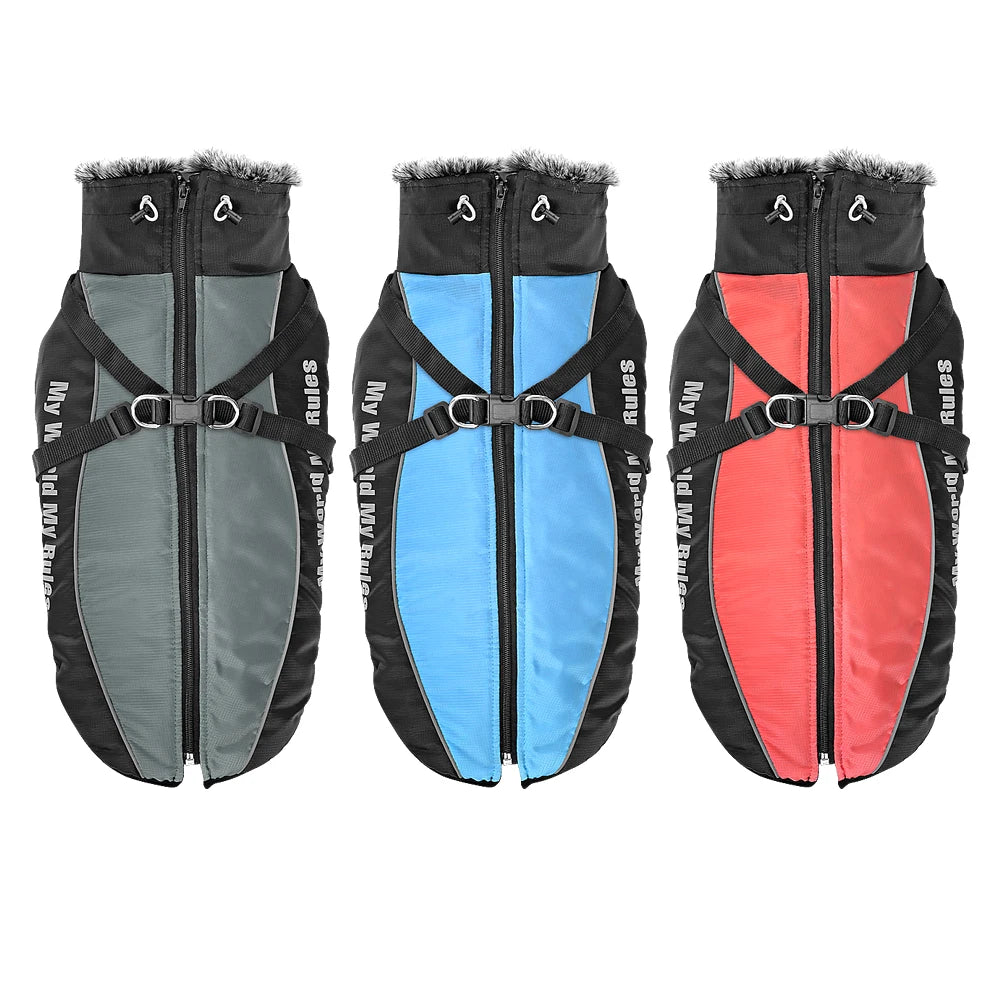 Waterproof Dog Jacket with Built-In Harness