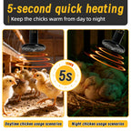 Far-Infrared Ceramic Heat Lamp — Dual-Voltage No-Light Heater, 25W-200W