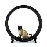 Silent Cat Treadmill & Exercise Wheel