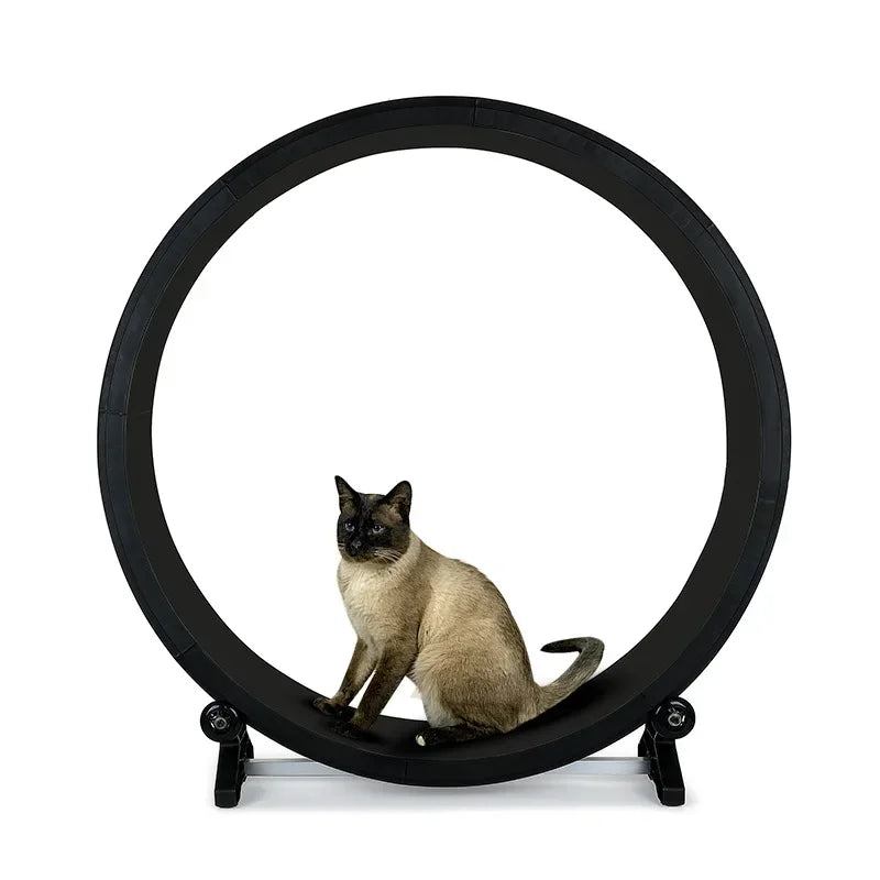 Silent Cat Treadmill & Exercise Wheel