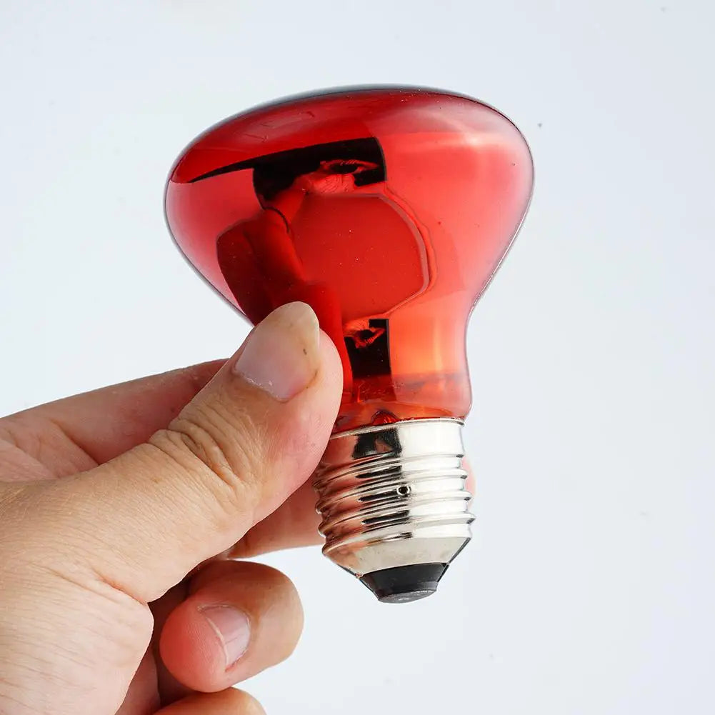 E27 Infrared Heat Bulb for Reptiles & Poultry — 25W-100W, Day & Night Use