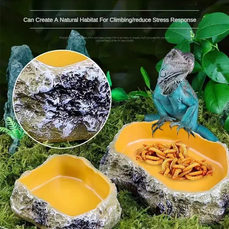 Resin Reptile Feeding & Water Bowl — Terrarium Dish for Reptiles & Amphibians